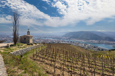 Jean-Louis Chave Hermitage Blanc: 1991-2001