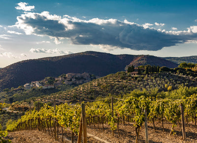 Chambolle di Montalcino: Poggio di Sotto 2001-2015