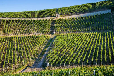 2012 François Raveneau Chablis 1er Cru 'Forêt'