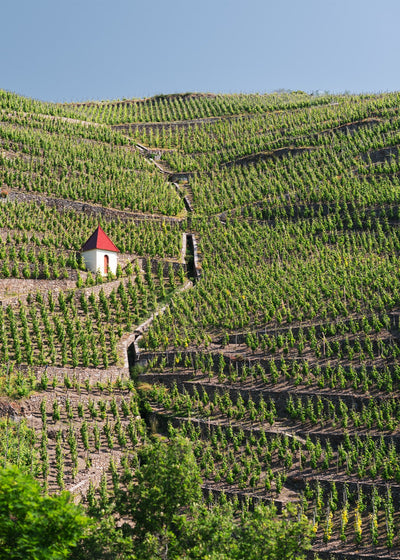 Rene Rostaing Côte Rôtie: 1995-2016